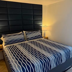 Newly Remodeled Deluxe King Suite